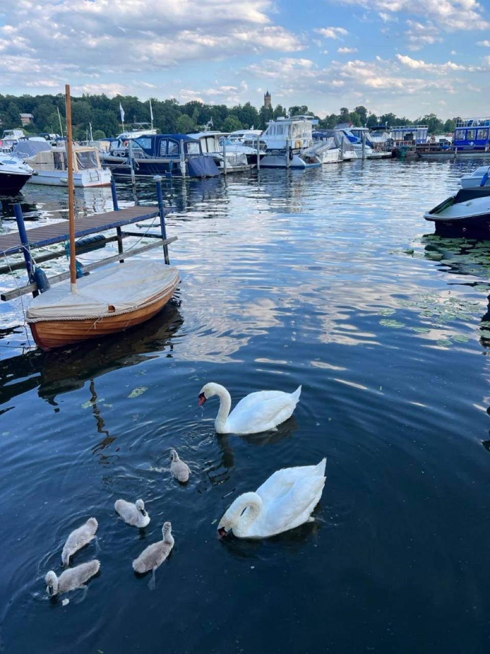 Pension Am Tiefen See Potsdam Buitenkant foto