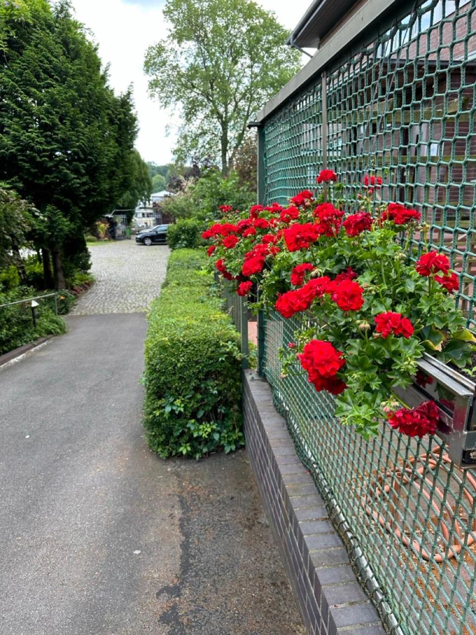 Pension Am Tiefen See Potsdam Buitenkant foto